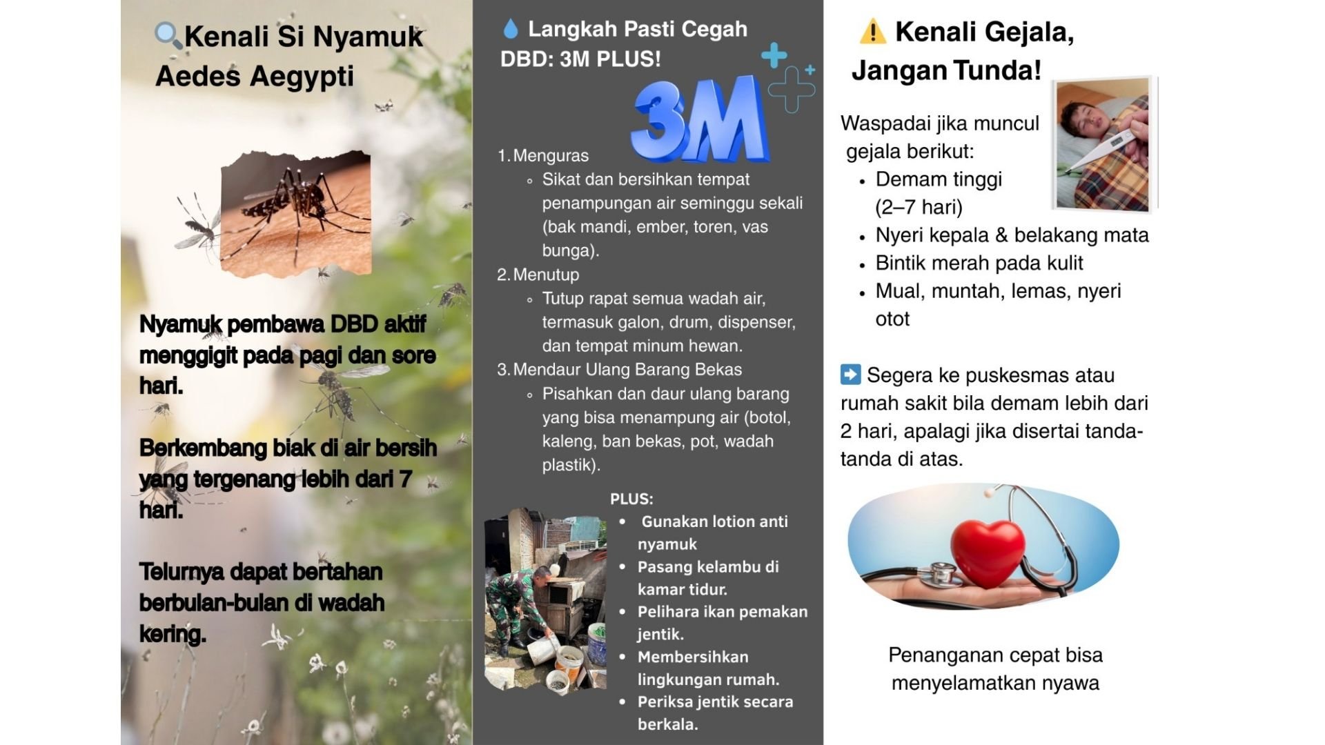 Langkah Pasti Cegah DBD: 3M PLUS